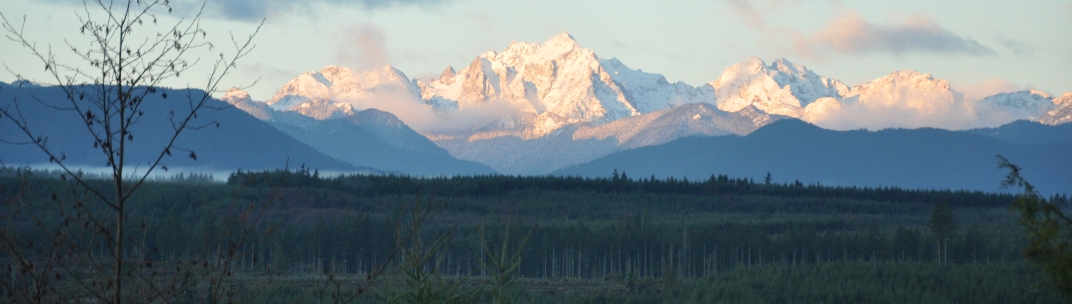 olympic mountains