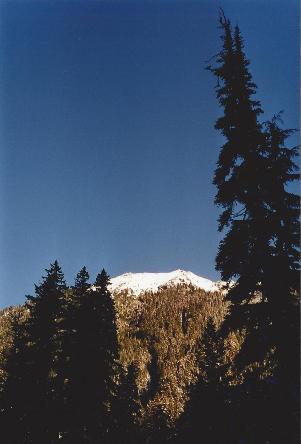 olympic mountains