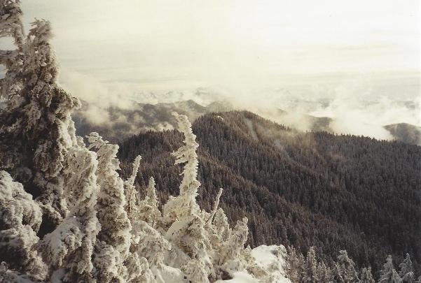 winter climbing