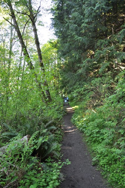 olympic national park