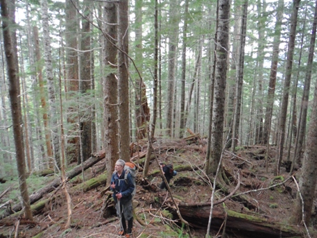 forest climbing