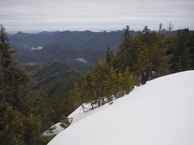 West Fork Humptulips Valley