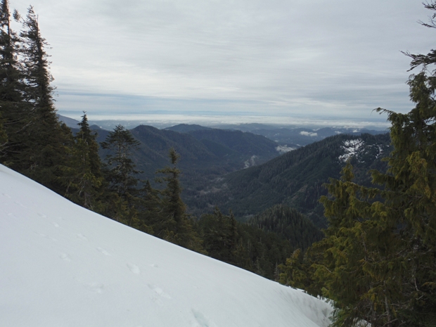 Humptulips Valley