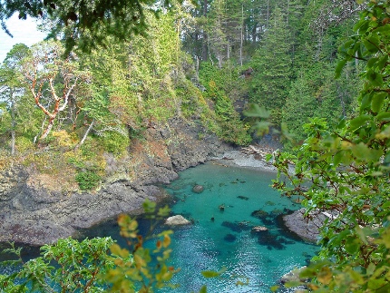 Secret Cove 