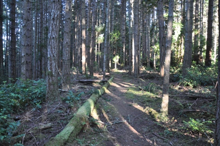 Striped Peak hike