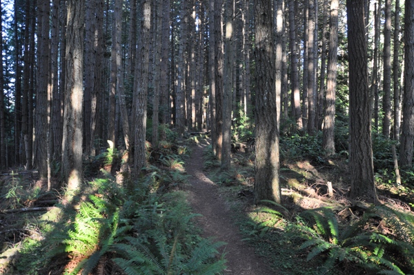Striped Peak Trail 