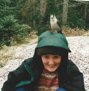 camprobber bird