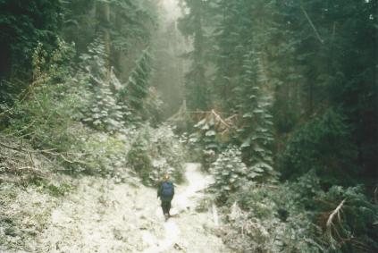 olympic national park