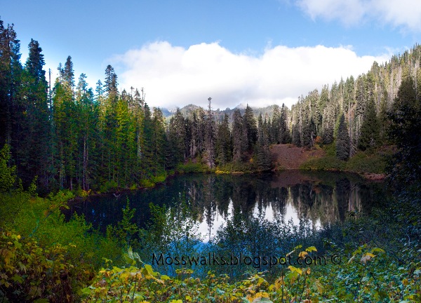 Wagonwheel Lake