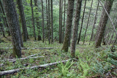 Wagonwheel Lake