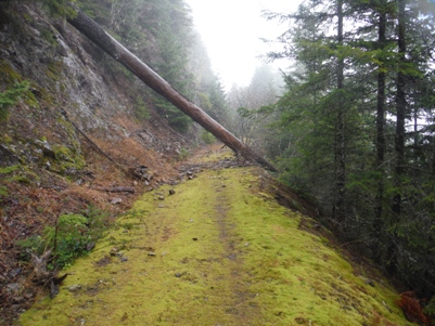 hiking webb mountain