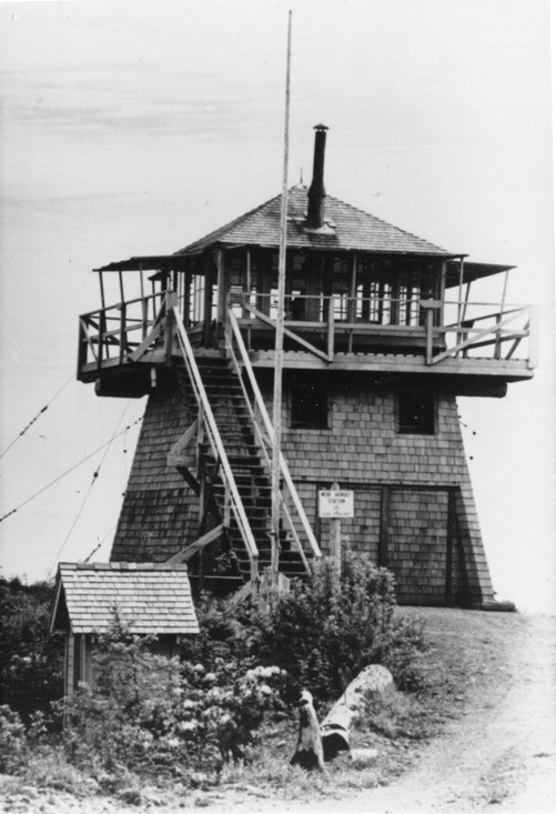 webb mountain lookout