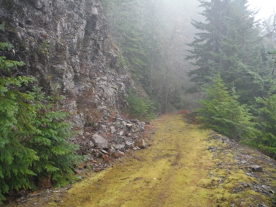 webb mountain trail