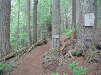 Buckhorn Wilderness