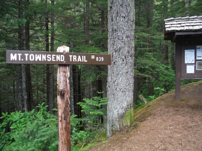 mount townsend trail