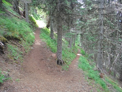 Silver Lake trail