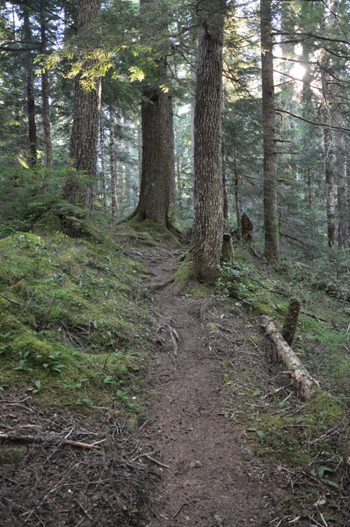 yahoo lake trail