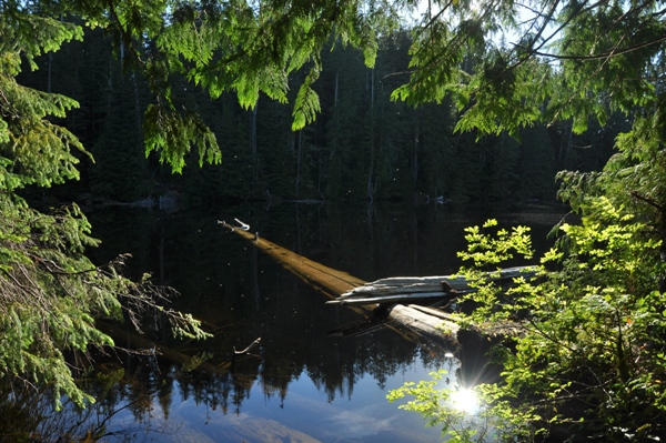 yahoo lake