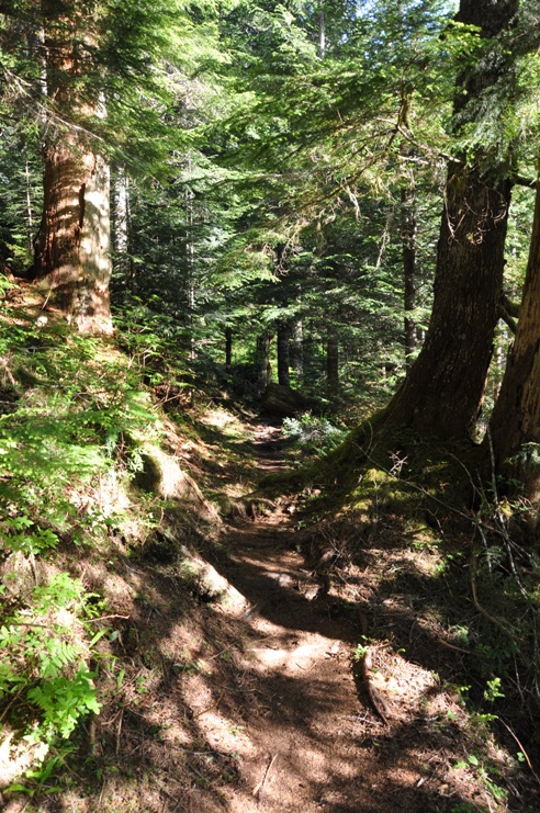 yahoo lake trail