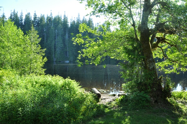 yahoo lake