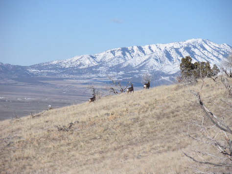 Vickory Mountain