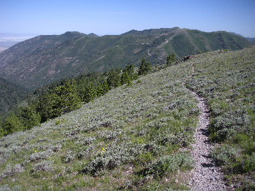 Butterfield Peaks trail