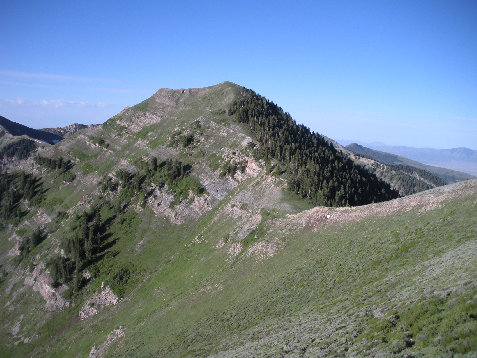 Kelsey Peak 