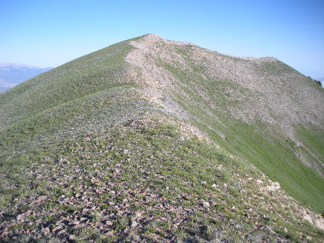 North Kelsey summit