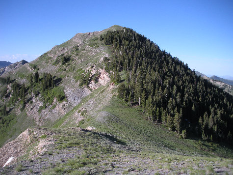 Kelsey Peak from Piney Pass