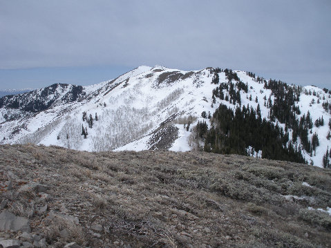 Balboa Peak