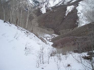 drainages up Lowe Peak