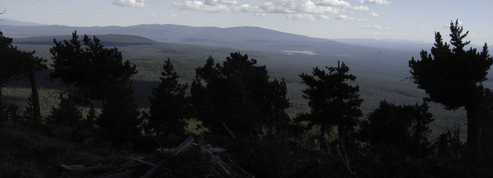 Bald Mountain view