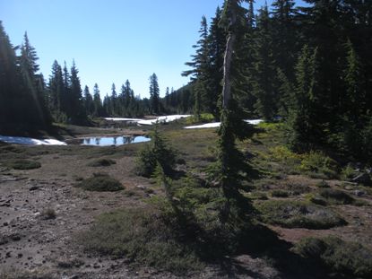 oregon hiking