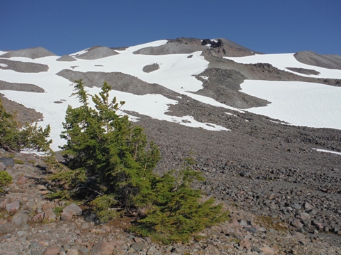 snow slopes