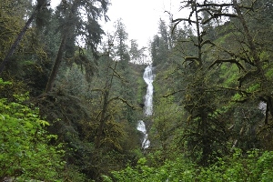 Munson Creek Falls