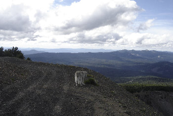 Pelican Butte road