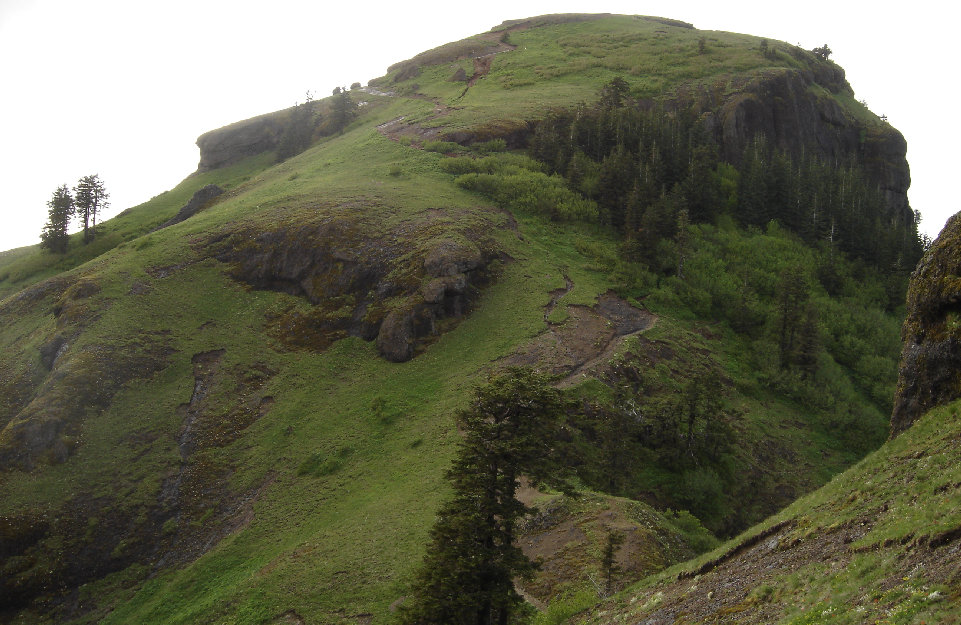 Saddle Mountain trail