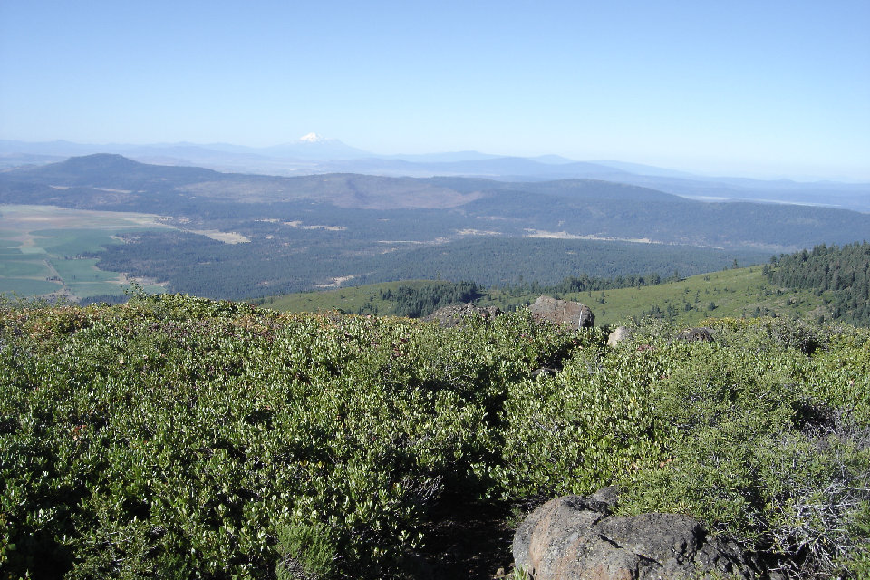 Mt. Shasta