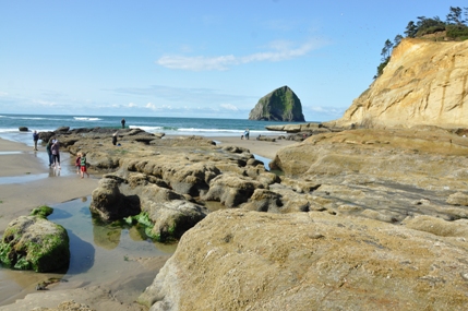 cape kiwanda