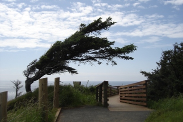 Coastal overlooks