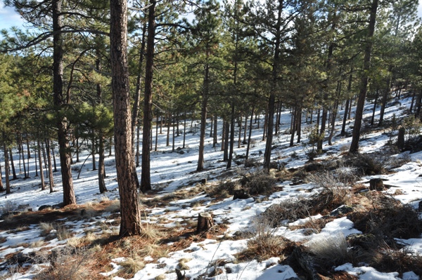 awbrey butte