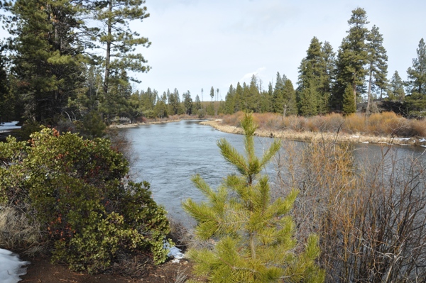 Deschutes River 