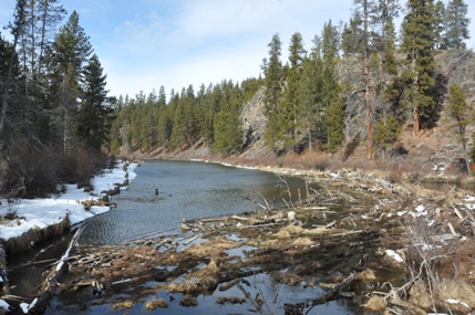 Deschutes River 