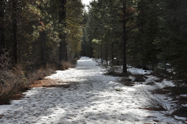 deschutes trail