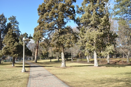 drake park