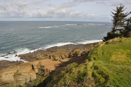 cape arago