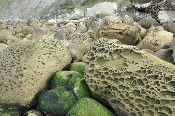 Sponge rocks