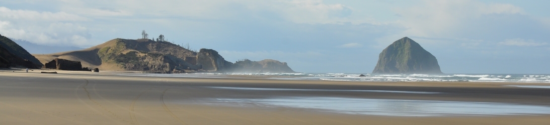 cape kiwanda