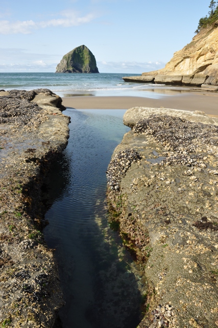 Cape Kiwanda