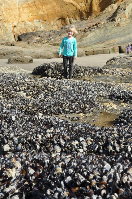 cape kiwanda